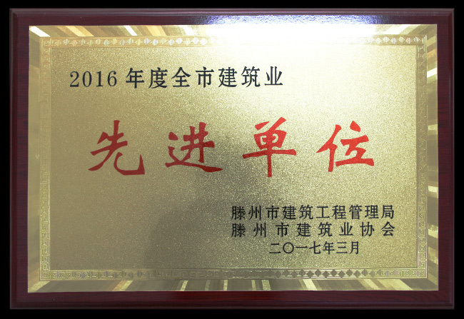 2016年市建筑业先进单位